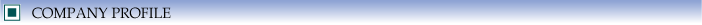 Company Profile